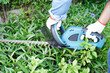 Gardener trimming bush by electric hedge clippers in garden. Hobby at home.