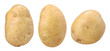 © natthapol - young potatoes isolated, transparent PNG, PNG format, collection, set