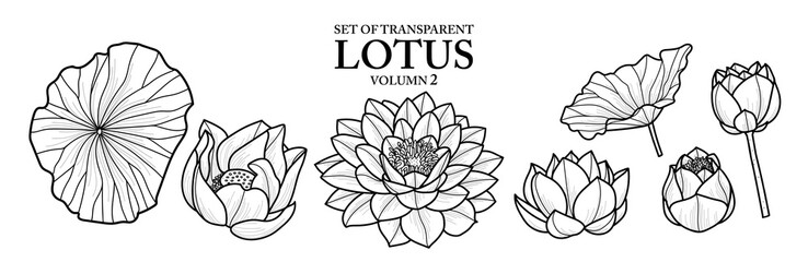 Wall Mural - Set of isolated flower illustration in hand drawn style. Lotus in Black outline and white plane on transparent background. Floral elements for coloring book, packaging or fragrance design. Volume 2.