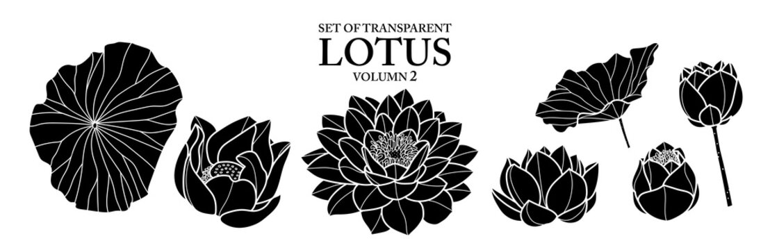 Set of isolated flower illustration in hand drawn style. Black silhouette of lotus on transparent background. Floral elements for coloring book, packaging or fragrance design. Volume 2.