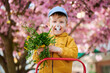Boy allergic suffering from seasonal allergy at spring. Toddler guy with clothespin clipped to his nose - symbolic gesture of his inability to breathe due to nasal congestion near blooming tree.