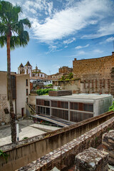 Wall Mural - Vista panorámica del casco histórico de la ciudad española de Cáceres con vistas a los tejados de tejas marrones de edificios antiguos alrededor de la plaza principal en el soleado día de primavera