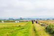 People walking on a path in a meadow