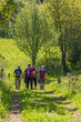Hiking group on a footpath on a sunny summer day
