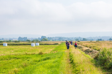 Poster - People walking on a path in a meadow