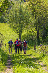 Poster - Hiking group on a footpath on a sunny summer day