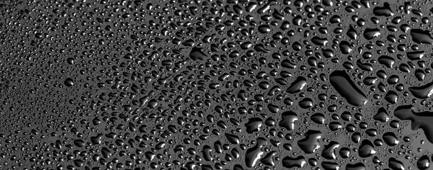 Poster - Water drops on a black background. Texture