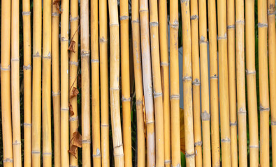 Sticker - Dry bamboo fence as an abstract background. Texture