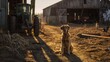 A loyal dog sits patiently by a rustic farm shed, bathed in the golden light of a sunset, with an old tractor in the background.
