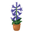 Hyacinth flower in a pot on a white background, hand drawing vector in cartoon.