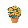 yellow flower in a pot on a white background, hand drawing vector in cartoon.