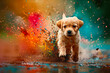 An adorable puppy jumping in the puddle with colorful paints splashing around.