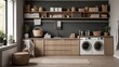 Home Interior Concept. Home Improvement .Modern Laundry Room with Stylish Organization. 