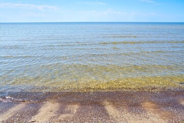 Wall Mural - Seascape. Sandy beach. Calm at sea. Clear water.