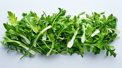 Studio-lit fresh endive frisee chicory salad, top view on a solid white backdrop, showcasing the vibrant green, natural layout, captured in raw style