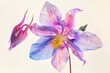 Delicate and whimsical, a Columbine flower dances on the canvas in watercolor, its slender stems adorned with vibrant blossoms, a symbol of grace and freedom.