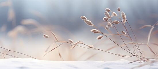 Canvas Print - Winter scenery with a dry plant set against a snowy background The serene cold atmosphere creates a peaceful setting Ideal for adding text in the copy space image