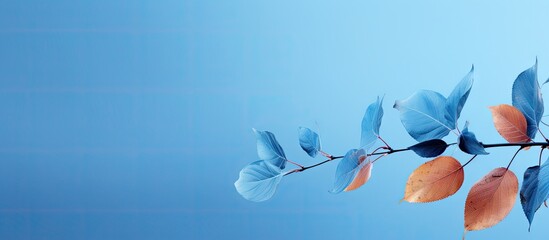 Sticker - Copy space image of autumn leaves against a backdrop of vivid blue