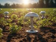 Close up of digital futuristic technology in smart argriculture farm 