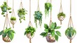 Green planters in handmade rope holders for home interior decoration on white background on an isolated set of flowers with macrame hangers, Cartoon modern illustration.