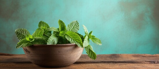 Canvas Print - An old background featuring a bowl with fresh mint creating a copy space image