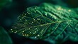 © Natawut - Leaf with vibrant green veins, with circuit board patterns against a dark background, symbolizing the intersection of nature and technology in a sustainable future.
