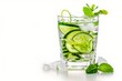 A glass of water with cucumber and mint.