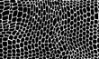 Crocodile animal skin pattern of dinosaur and snake reptile leather, vector background. Abstract black and white crocodile or snake skin pattern of python, alligator or cobra leather mesh texture
