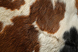 Fototapeta  - Detailed close-up of genuine cowhide texture with spotted brown and white pattern, showcasing the natural organic surface of the animal skin