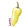 Chili pepper with Banana text, cartoon spice label. Fresh yellow wax pepper with mild tangy taste and medium size, sweet raw ingredient and cartoon typography badge of vegetable vector illustration