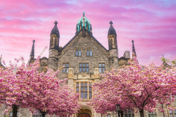 Poster - Colonial architecture of Trinity College, Toronto, Canada