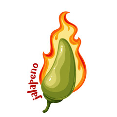 Wall Mural - Hot chili pepper with fire and Jalapeno text, cartoon spice label. Green pepper pod with heat of flame and pungency, cartoon badge of spicy flavor for sauce and typography patch vector illustration
