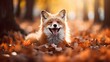 Portrait of happy fox rejoices in autumn.