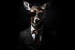 Funny deer with sunglasses in a suit on a black background.