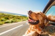 © AiHRG Design - A joyful dog sits in the passenger seat of a car, its head happily out the window as it enjoys the ride.