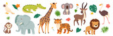 Fototapeta Fototapety na ścianę do pokoju dziecięcego - Funny safari animals. Cute cartoon kids animal character. Wild tiger, giraffe, happy koala, African crocodile, jungle monkey. Jungle plant and decorative elements. Vector collection