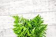 Spring concept. Green fern branches on white wooden background top view space for text
