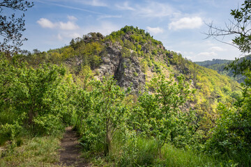 Wall Mural - Spring landscape with path between green bushes and trees to rocky hill under blue sky