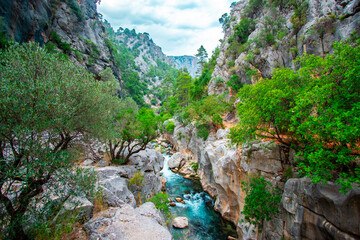 Poster - Yazili Canyon Nature Park has lakes and green landscapes, sparkling flowing waters, and a rich diversity of fauna and flora. Photo of a stream flowing through stones and trees. Isparta, Turkey.
