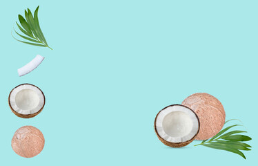 Wall Mural - coconut and  slice ;leaves  isolated on bule  background.