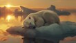 A polar bear is sleeping on a snowy surface, Global warming