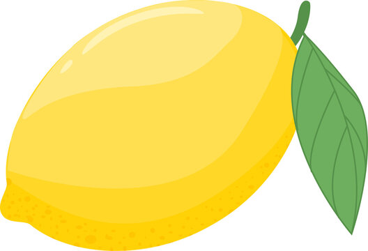 illustration of lemon with leaves