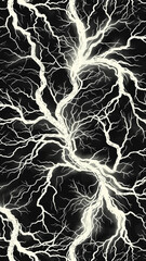 The image is a black and white photo of a storm with lightning bolts