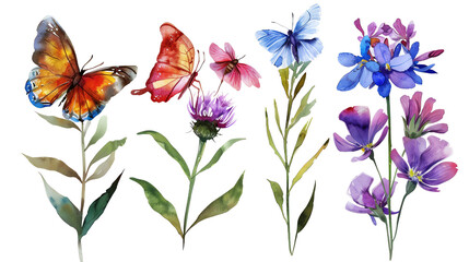 Set of butterfly attracting flowers Milkweed, Butterfly Bush, Coneflower, Phlox vibrant and inviting in watercolor, isolated on transparent background