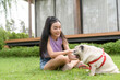 Happy asian woman playing with Cute Smart pug Puppy Dog In the Backyard