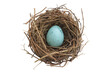 © posterpalette - Bird nest with one egg isolated on transparent background