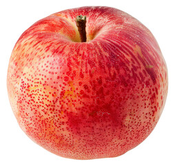 Canvas Print - Close-up of a red apple with water droplets isolated on transparent background png