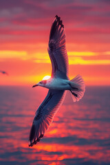 Wall Mural - A seagull flying against a sunset, sky painted in broad strokes of orange and pink gradients,