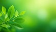 Lush green foliage against a soft, blurred green backdrop, representing fresh growth