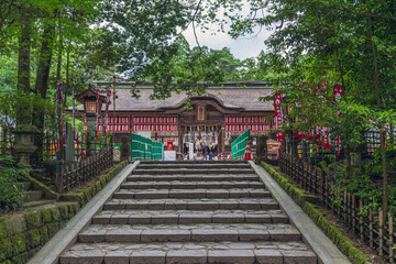 Wall Mural - 仙台 大崎八幡宮 夏の参道風景